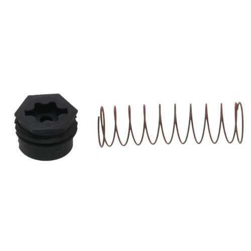 Main product image of LP Valve Spring Kit, 29M85