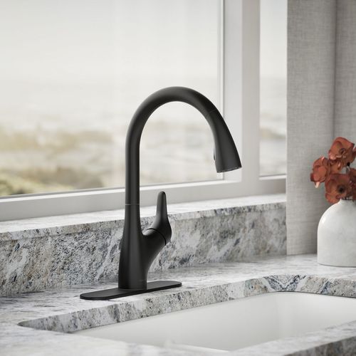 Main product image of Rival 1-Handle Pull Down Kitchen Faucet (Matte Black), K-30469-BL