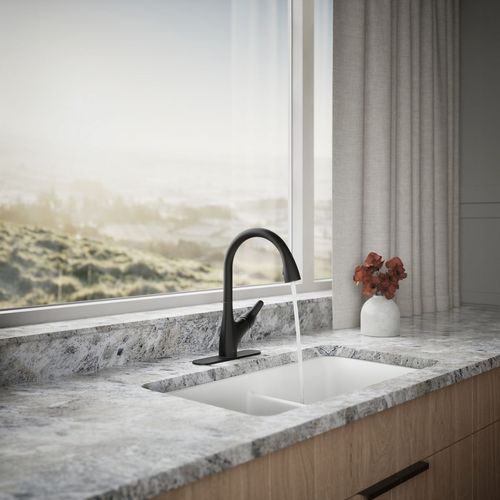 Main product image of Rival 1-Handle Pull Down Kitchen Faucet (Matte Black), K-30469-BL