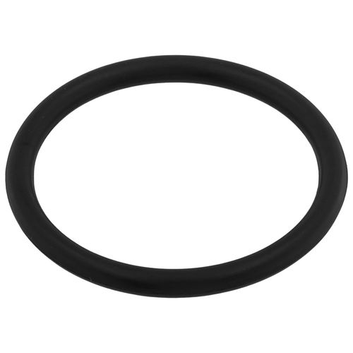 Main product image of O-Ring for 1" Swivel
