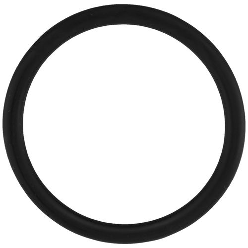 Main product image of O-Ring for 1" Swivel