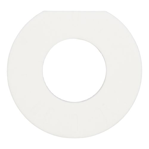 Main product image of Gasket for Standard Flange