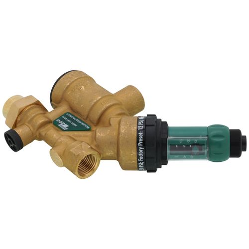 Main product image of 1/2" Combination Boiler Feed Valve & Backflow (NPT x NPT)
