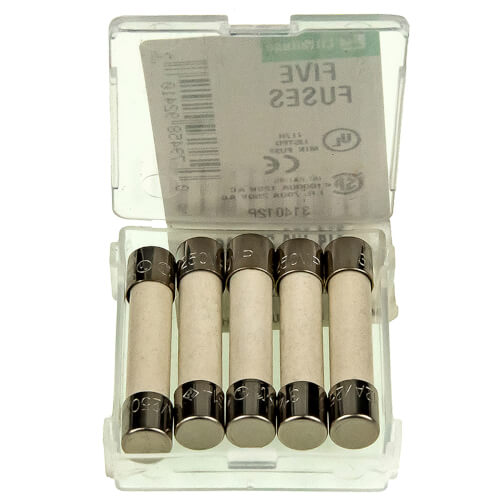 Main product image of Ultra U-control Module Fuses F2 - 12-amp, fast-blow ATO (5 Fuses), 383-500-604
