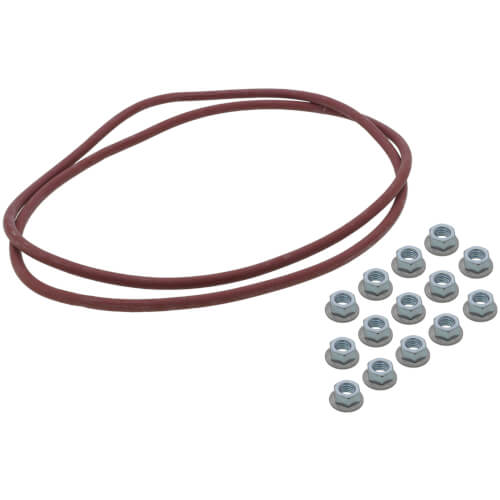 Main product image of 5 Section Cleanout Plate Gasket, 383-600-202