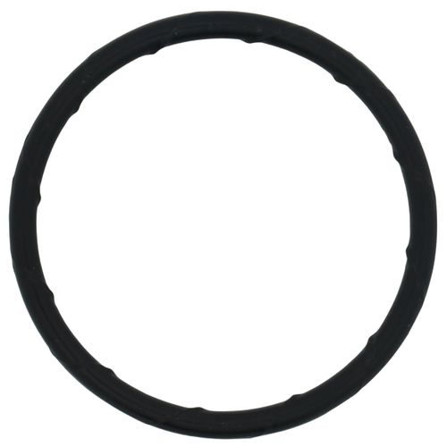 Main product image of 2" Leak Detect EPDM O-Ring