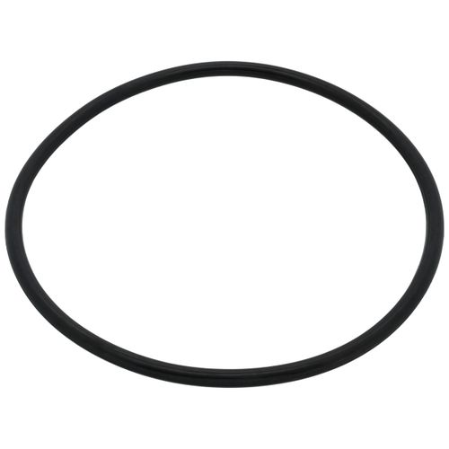 Main product image of 4" Leak Detect EPDM O-Ring