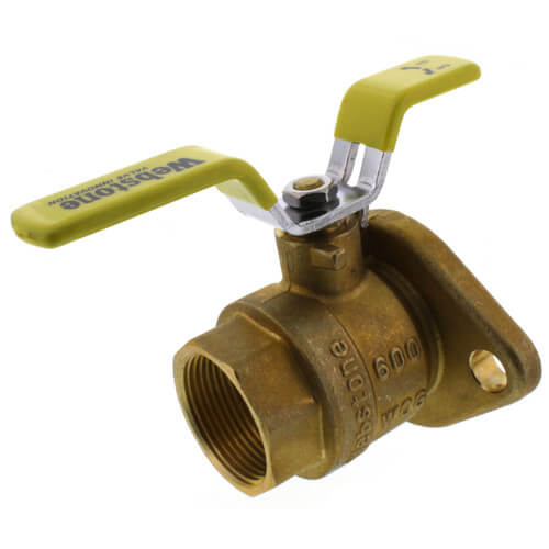 Main product image of 1-1/4" Threaded Isolator Flange