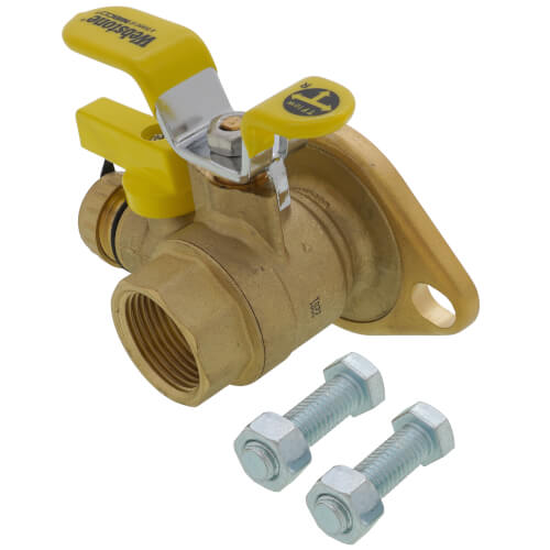 Main product image of 1" Threaded Isolator w/ MF Drain & Rotating Flange High Velocity - Lead Free