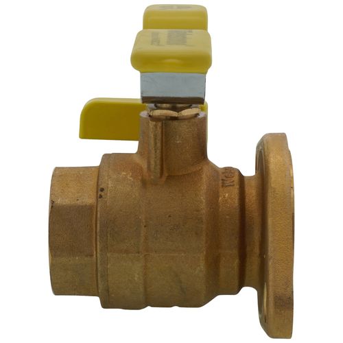 Main product image of 1-1/4" Threaded Isolator Flange w/ Drain & Rotating Flange