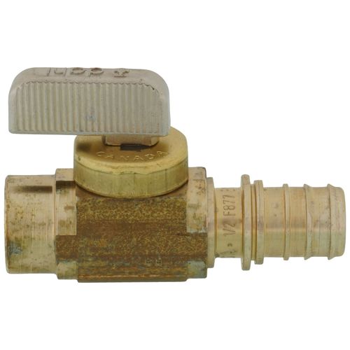 Main product image of 1/2" EVERLOC+ FNPT Ball Valve