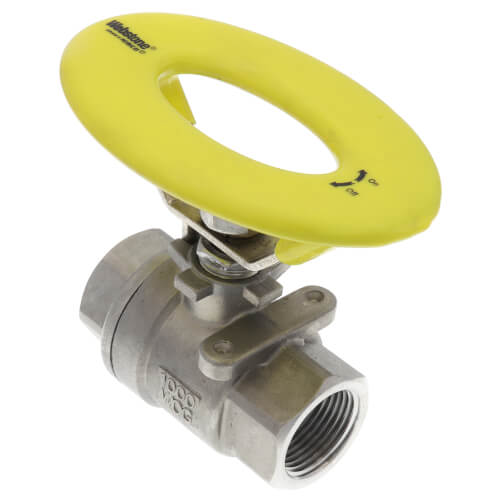 Main product image of 3/4" IPS Full Port 316 Stainless Steel 2-Piece Ball Valve with Oval Handle