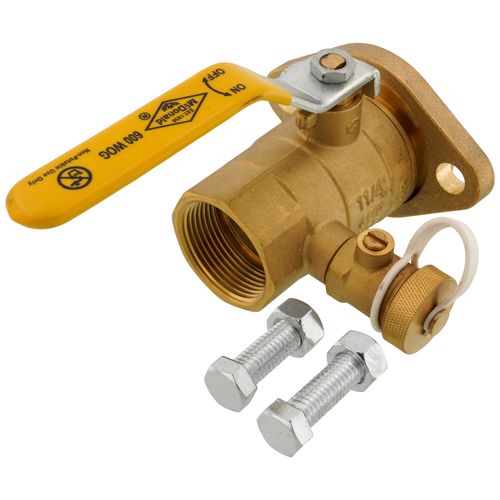 Main product image of 2029PT 1-1/4" Full Port Ball Valve w/ Purge (FNPT x Flange) 