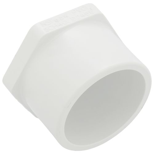 Main product image of 2" PVC Schedule 40 Plug