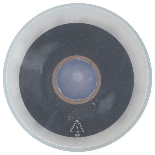 Main product image of 3/4" x 66' Contractor Pro Vinyl Electrical Tape (Black)