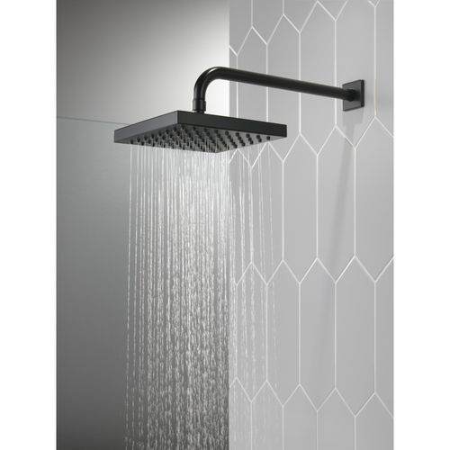 Main product image of Raincan Single Setting Showerhead (Matte Black), 52841-BL