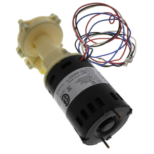 545600 Little Giant 545600 RIMU Ice Machine Replacement Pump w/ 3