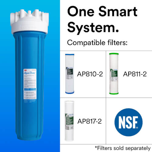 AP802B, 1" NPT Blue Whole House Large Diameter Filter Housing (45 GPM)