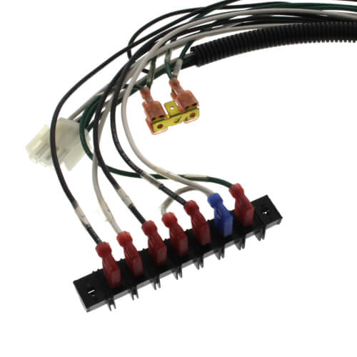 Main product image of Line Voltage Wire Harness Assembly, 591-300-001