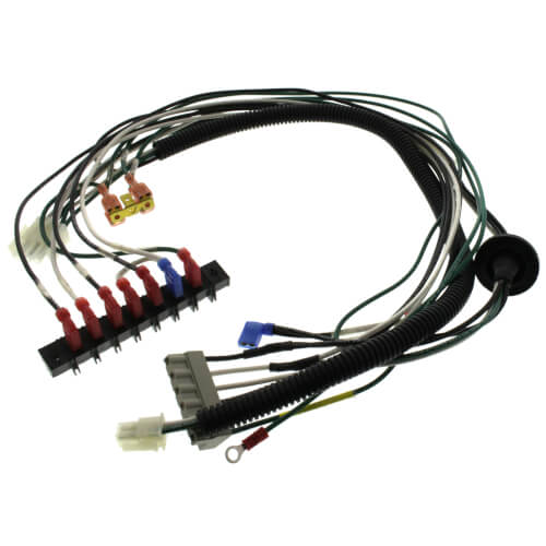 Main product image of Line Voltage Wire Harness Assembly, 591-300-001