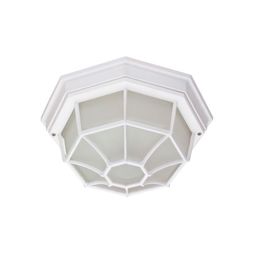 Main product image of 1 Light 12" Ceiling Spider Cage Fixture Die Cast Glass Lens Color retail packaging