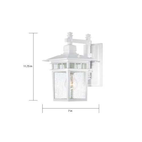 Main product image of Cove Neck 1 Light 12" Outdoor Lantern w/ Clear Seed Glass