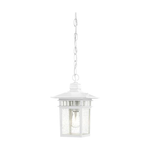 Main product image of Cove Neck 1 Light 12" Outdoor Hang w/ Clear Seed Glass
