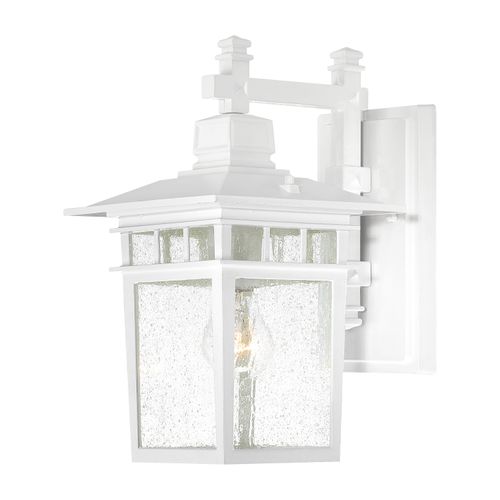 Main product image of Cove Neck 1 Light 14" Outdoor Lantern w/ Clear Seed Glass
