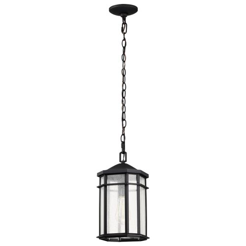 Main product image of Raiden Collection Outdoor 14.5 inch Hanging Light Matte Black Finish w/ Clear Seedy Glass