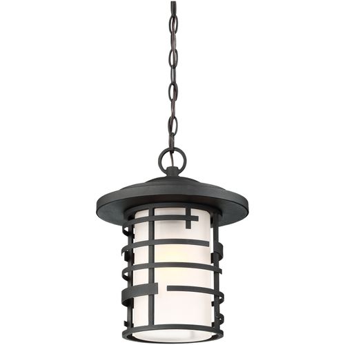 Main product image of Lansing 1 Light Outdoor Hanging Lantern w/ Etched Glass