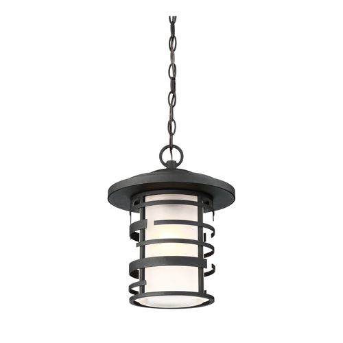 Main product image of Lansing 1 Light Outdoor Hanging Lantern w/ Etched Glass