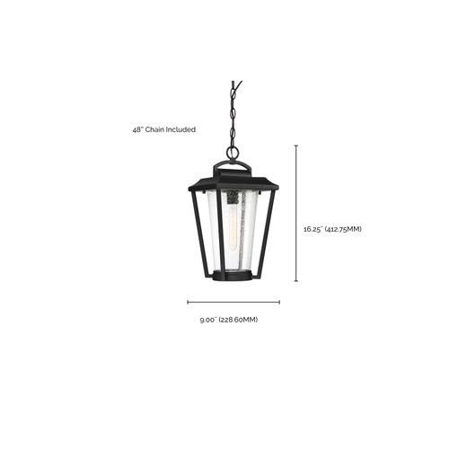 Main product image of Lakeview 1 Light Hanging Lantern Aged Bronze Finish w/ Clear Seed Glass