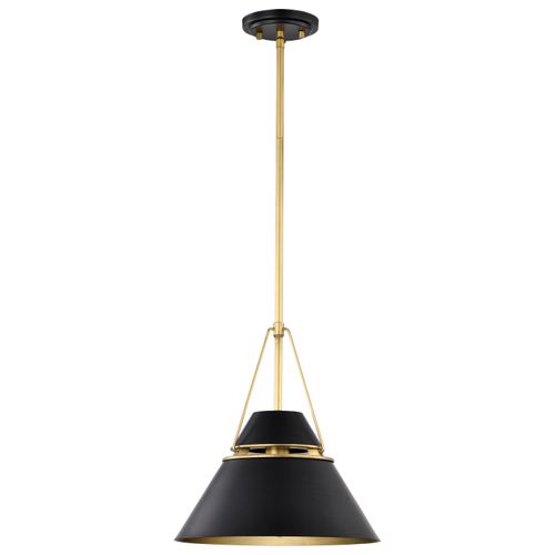 Main product image of Adina 1 Light Medium Pendant Matte Black and Natural Brass Finish