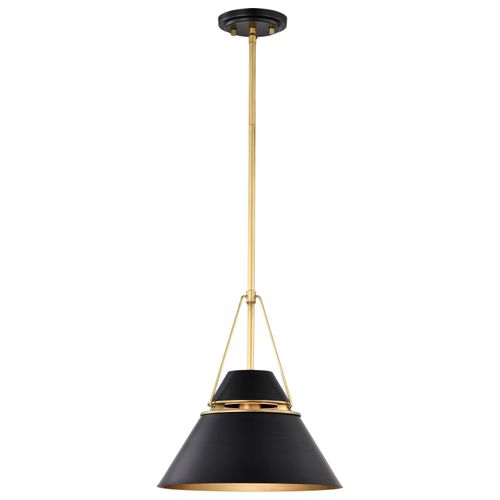Main product image of Adina 1 Light Medium Pendant Matte Black and Natural Brass Finish