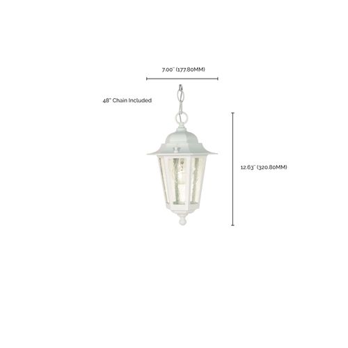 Main product image of Cornerstone 1 Light 13" Hanging Lantern w/ Clear Seed Glass
