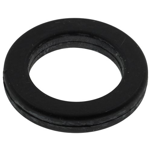 Main product image of O-ring for Vacuum Breaker Model 62, 601313