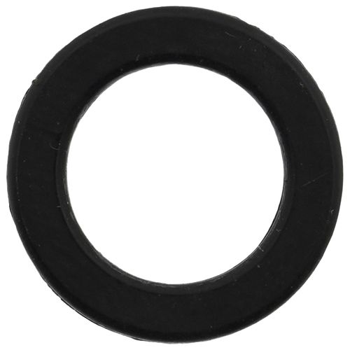 Main product image of O-ring for Vacuum Breaker Model 62, 601313