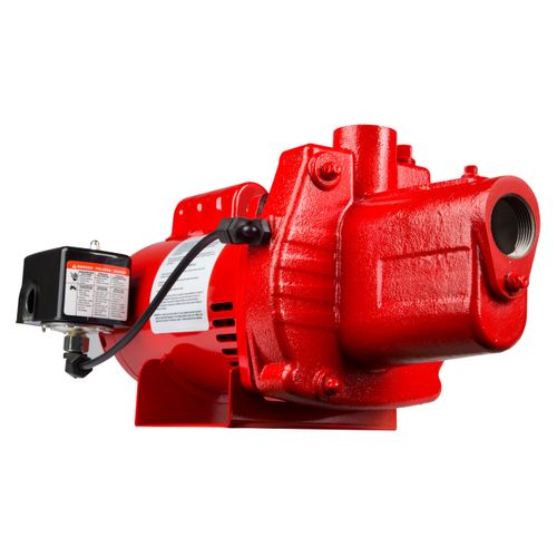 602206 - Red Lion Pumps 602206 - RJS-50-PREM 1/2 HP, 12 GPM, 115/230V ...