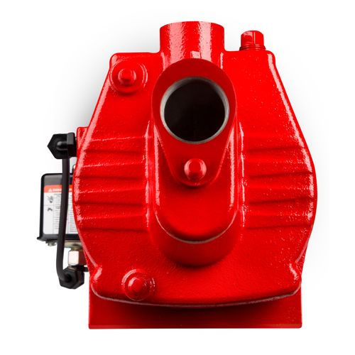 602206 - Red Lion Pumps 602206 - RJS-50-PREM 1/2 HP, 12 GPM, 115/230V ...