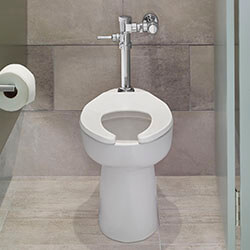 Main product image of Ultima Manual Toilet Flush Valve, Piston-Type, 1.6 gpf/6.0 Lpf