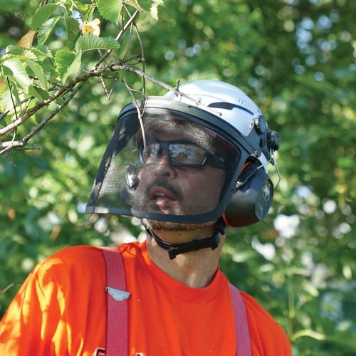 Main product image of Face Shield Lens Replacement, Cap Style (Clear)