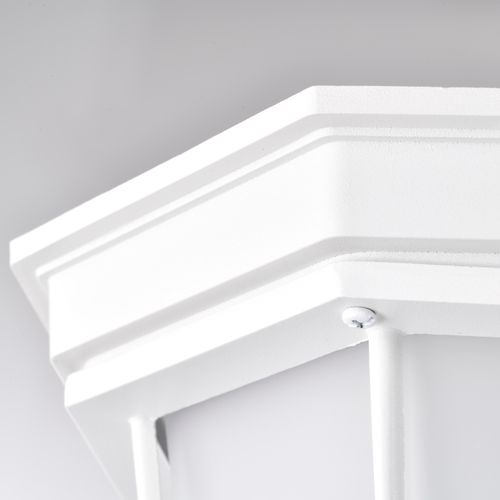 Main product image of LED Spider Cage Fixture White Finish w/ Frosted Glass