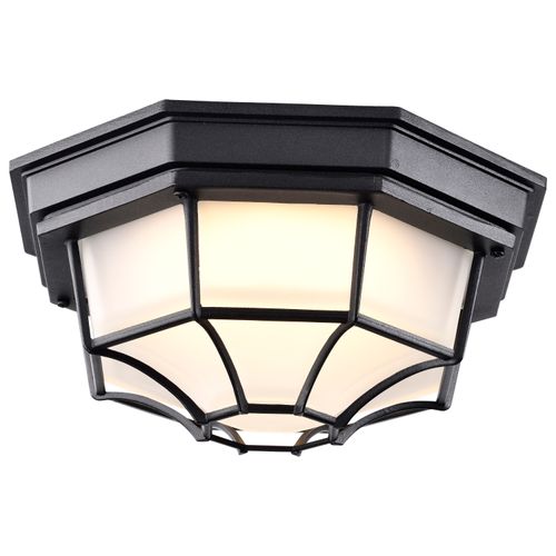Main product image of LED Spider Cage Fixture Black Finish w/ Frosted Glass