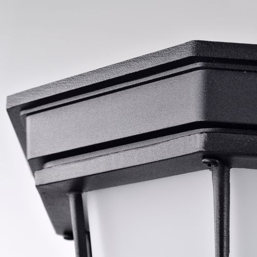 Main product image of LED Spider Cage Fixture Black Finish w/ Frosted Glass