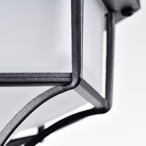 Main product image of LED Spider Cage Fixture Black Finish w/ Frosted Glass