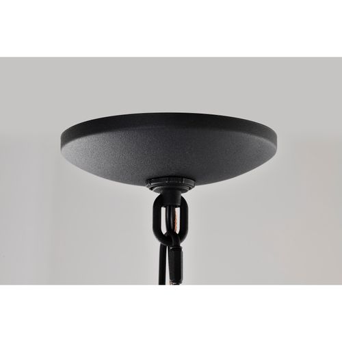 Main product image of East River Collection 1 Light Outdoor Hanging Fixture LED SMART Starfish RGBTW CCT Selectable Matte Black Clear Water Glass