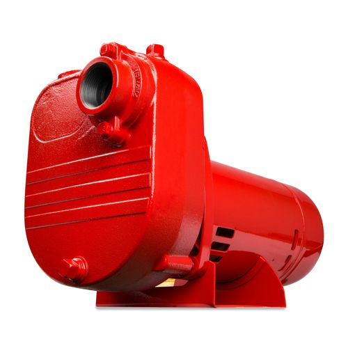 621810 - Red Lion Pumps 621810 - RL-S50 115/230V, 1/2 HP, 2940 GPH Self ...