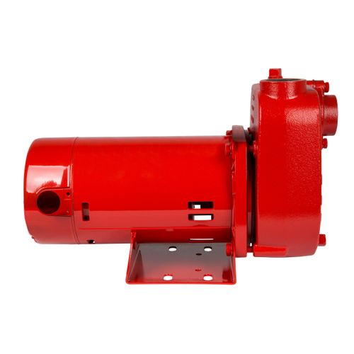 621810 - Red Lion Pumps 621810 - RL-S50 115/230V, 1/2 HP, 2940 GPH Self ...