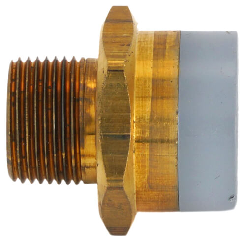 2" CPVC x MIP Brass Straight Adapter (Lead Free)