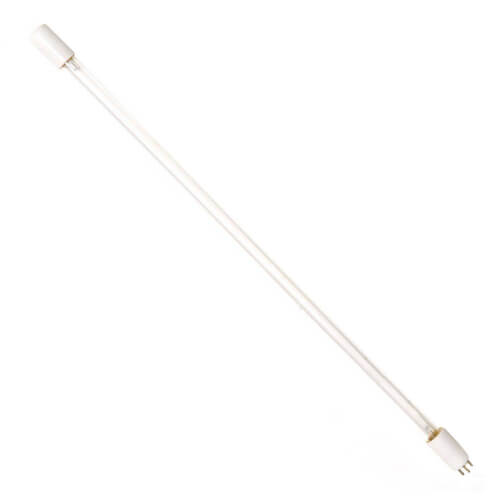 UV Bulb